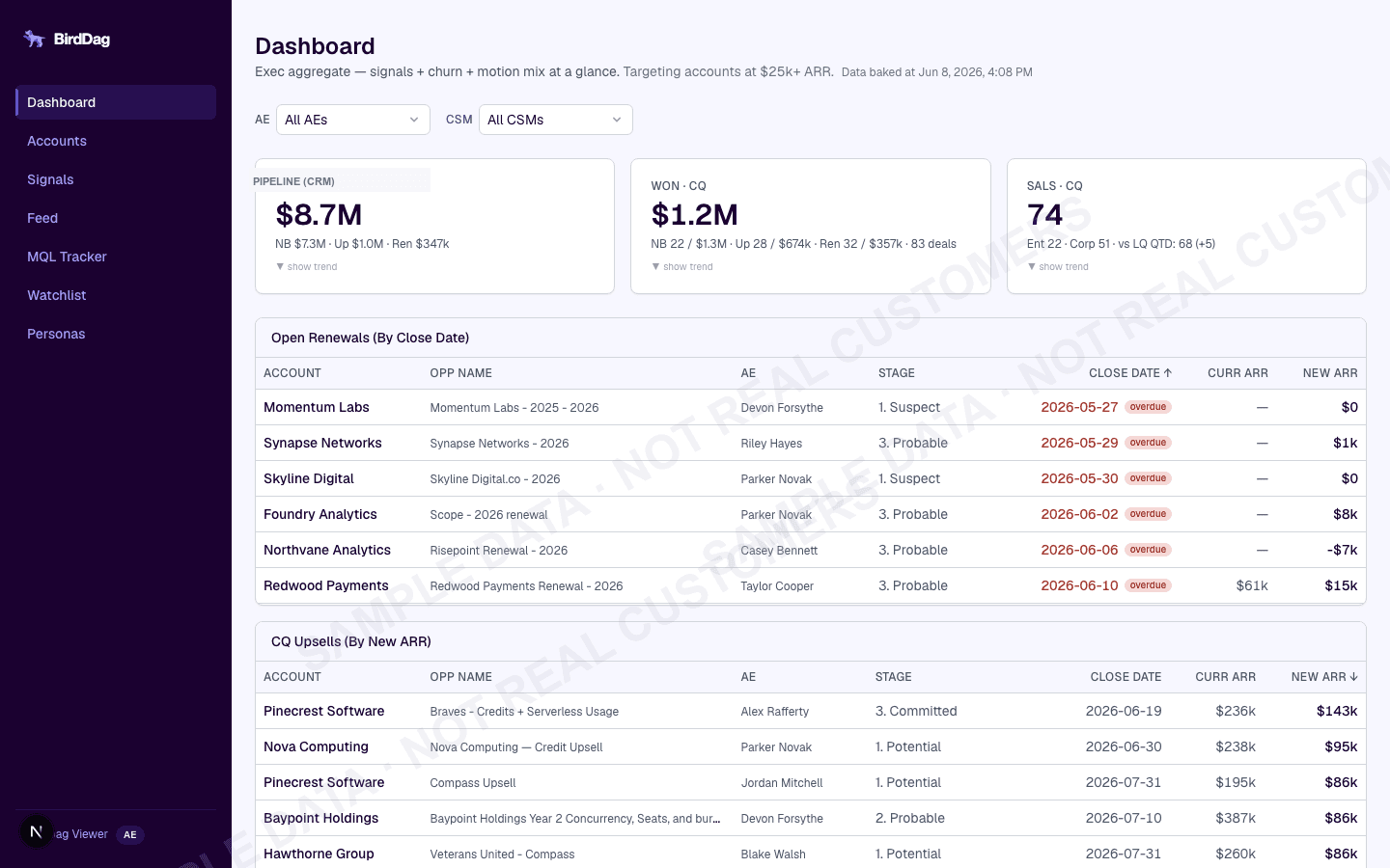 Revenue Intelligence Platform screenshot